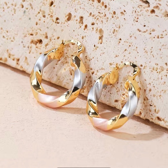 NWT Stainless Steel Twisted Golden Silver Hoop
Earrings - Picture 4 of 6